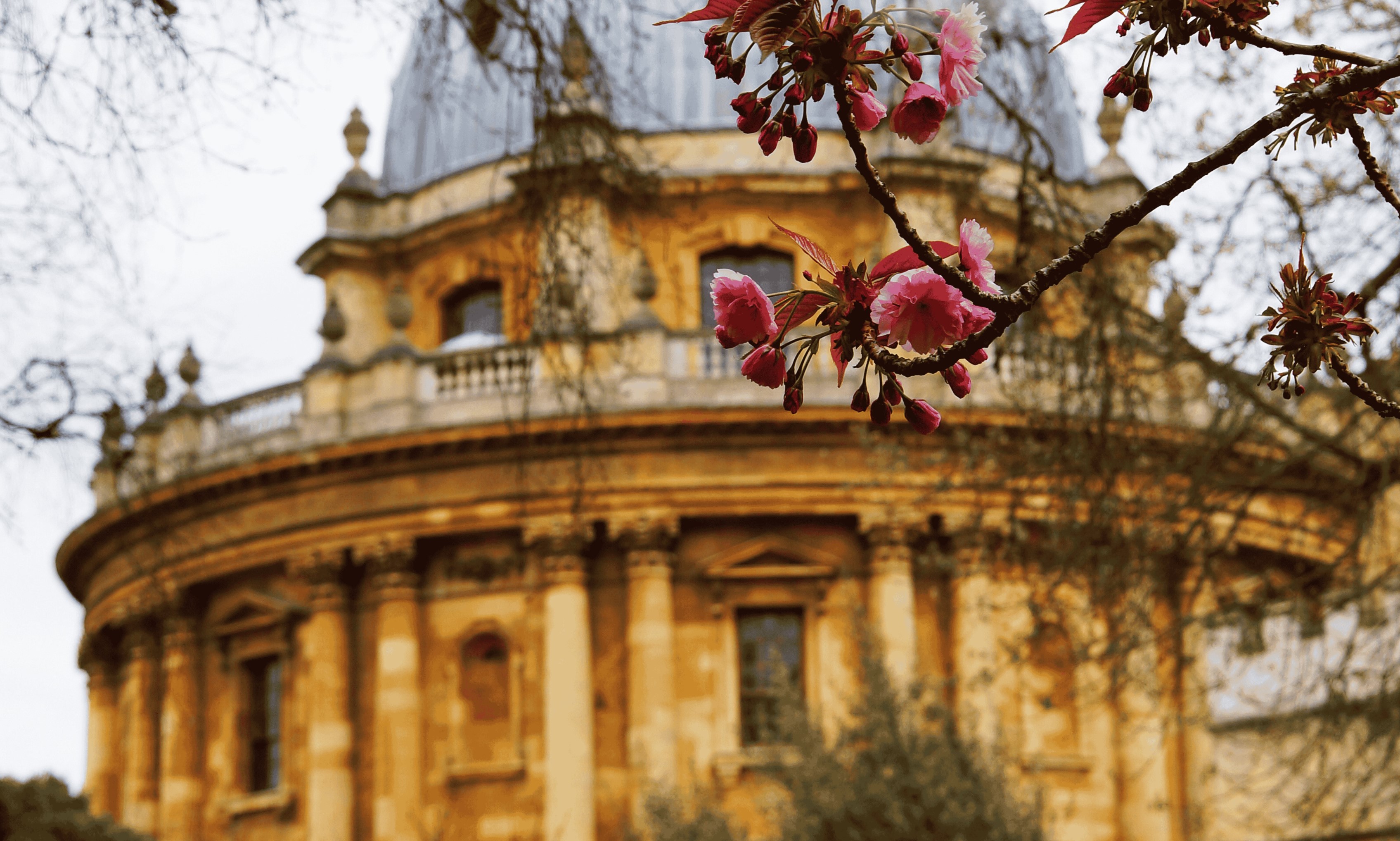 Spring is in the air - but is spring 2026 the time to sell your Oxford home? The Radcliffe Camera in Oxford with pink spring blossom on trees in foreground